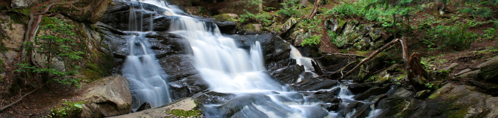 Cascata nel bosco